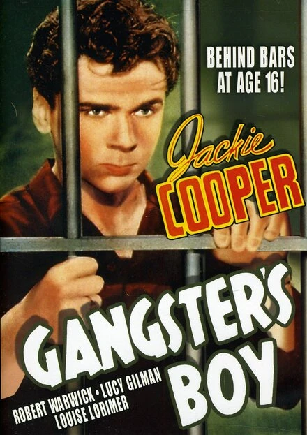 Постер Gangster's Boy
