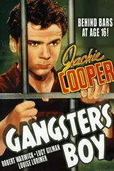 Gangster's Boy постер