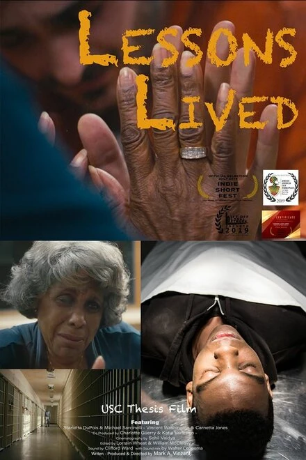 Постер Lessons Lived
