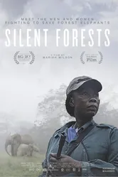 Silent Forests постер