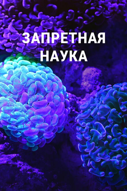 Постер Запретная наука 2022