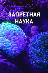 Запретная наука 2022 постер