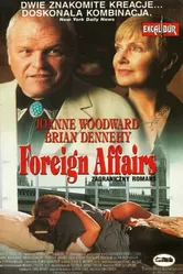 Иностранные дела 1993 постер
