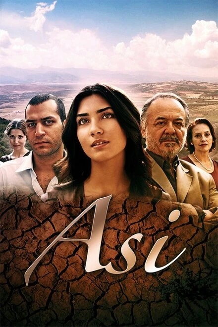 Постер Аси 2007