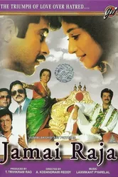 Любимый зять 1990 постер
