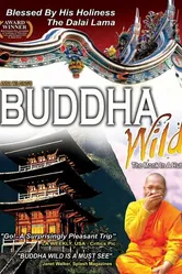 Buddha Wild: Monk in a Hut постер