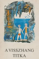 Тайное эхо 1973 постер