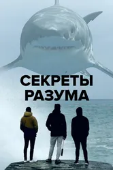 Секреты разума 2021 постер