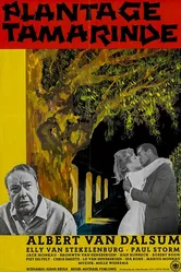 Плантация Тамаринда 1964 постер