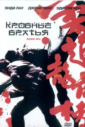Кровные братья 2004 постер