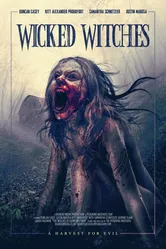 The Witches of Dumpling Farm постер