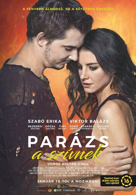 Постер Parázs a szívnek