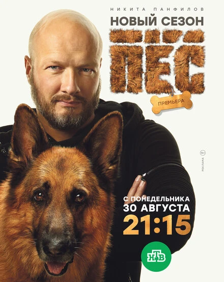 Постер Пёс 2015