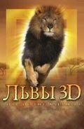 Постер Львы 3D 2005