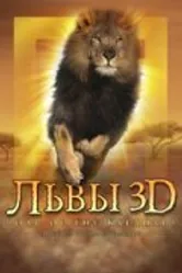 Львы 3D 2005 постер