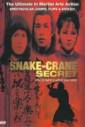 She hao dan xin zhen jiu zhou постер