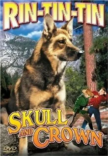 Постер Skull and Crown