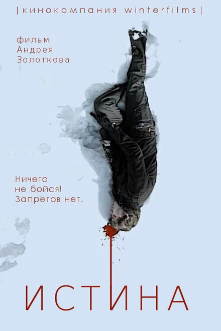 Постер Истина 2013