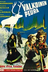 Белый олень 1952 постер