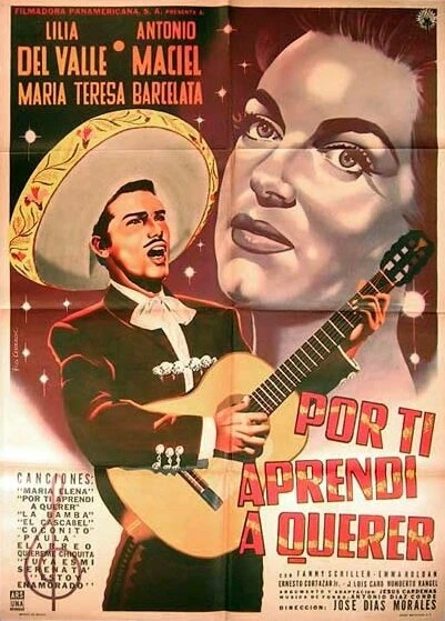 Постер Por ti aprendí a querer