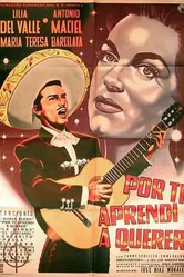Por ti aprendí a querer постер