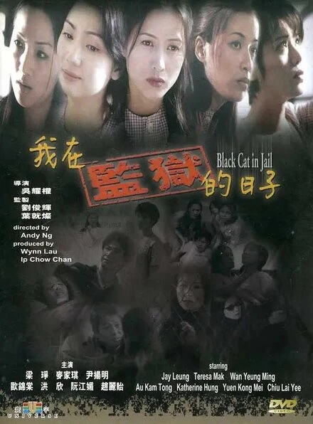 Постер Чёрная кошка 3: В тюрьме 2000