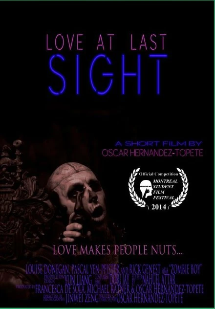 Постер Love at Last Sight 2014