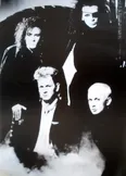 Фото Dead or Alive