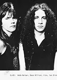 Фото Anvil