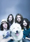 Фото The Sheepdogs