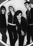 Фото Elastica
