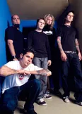 Фото Adema